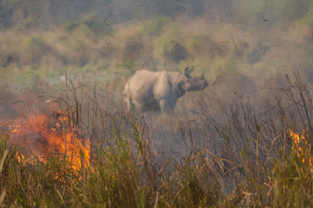 Photograph by Saurav Kumar Boruah
