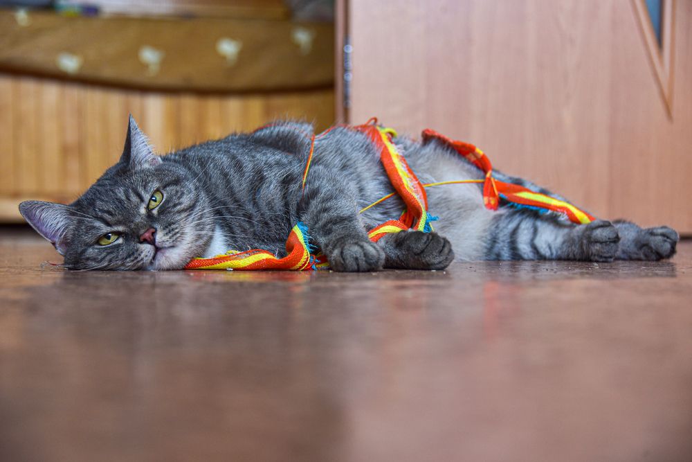 В плену текстильной промышленности