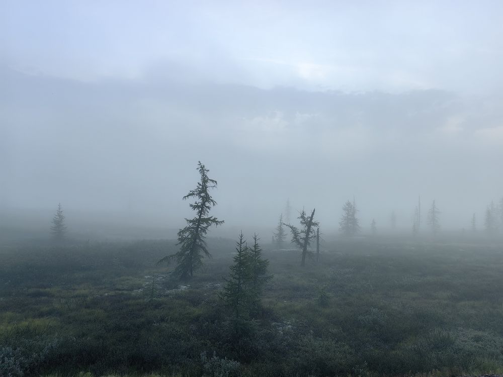 Photograph by Александр Баранов