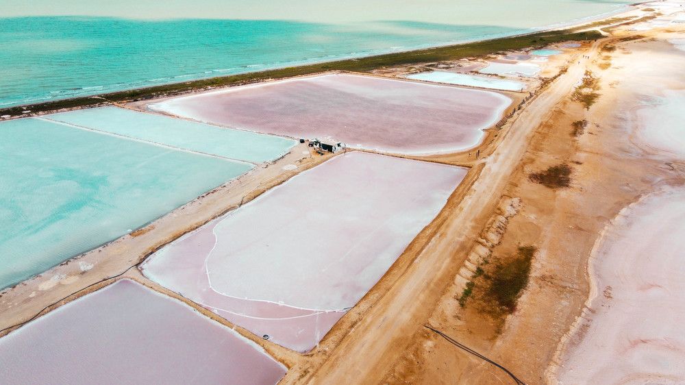 Photograph by Jeyson Omar Muñoz Diaz