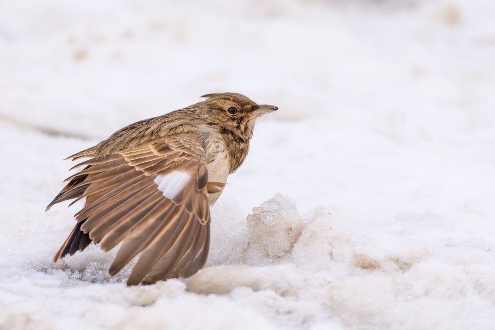Фотография автора Александр Добыш