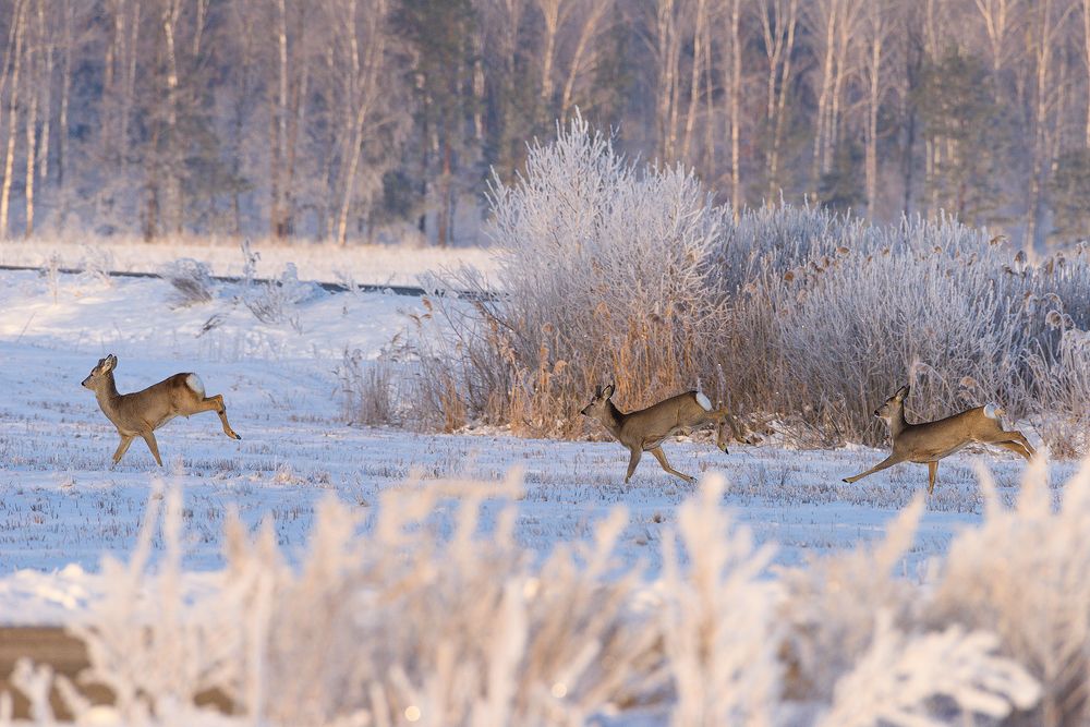 Фотография автора Александр Добыш