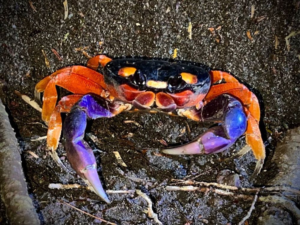 Photograph by Fabian Risso