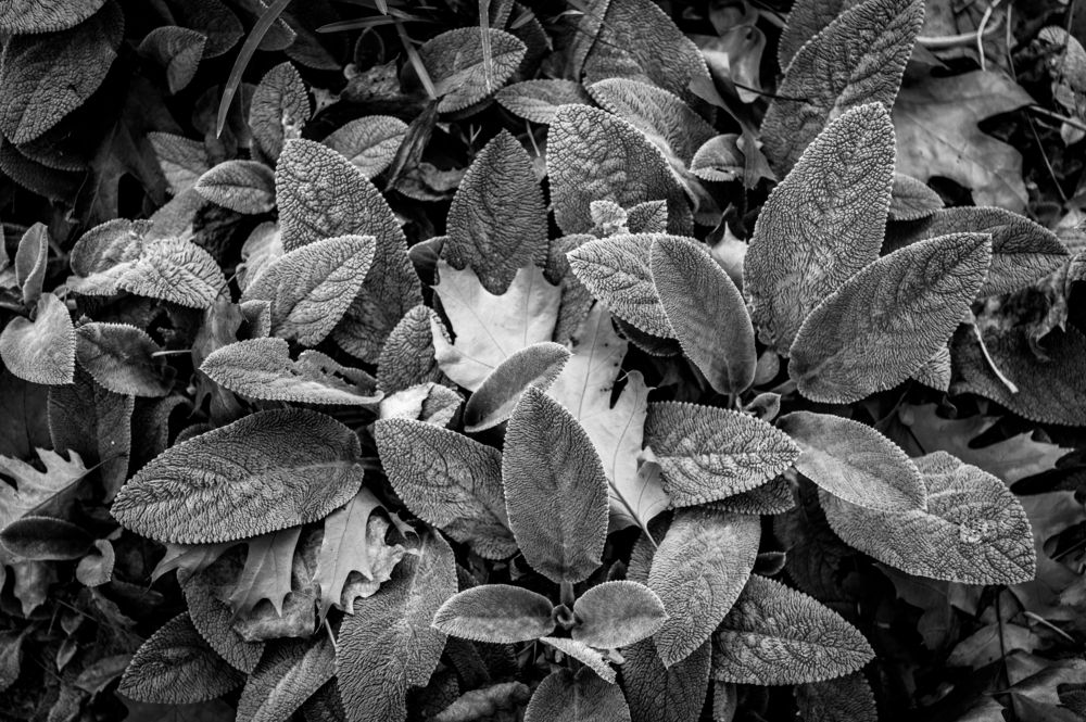 Photograph by Анастасия Кашенко