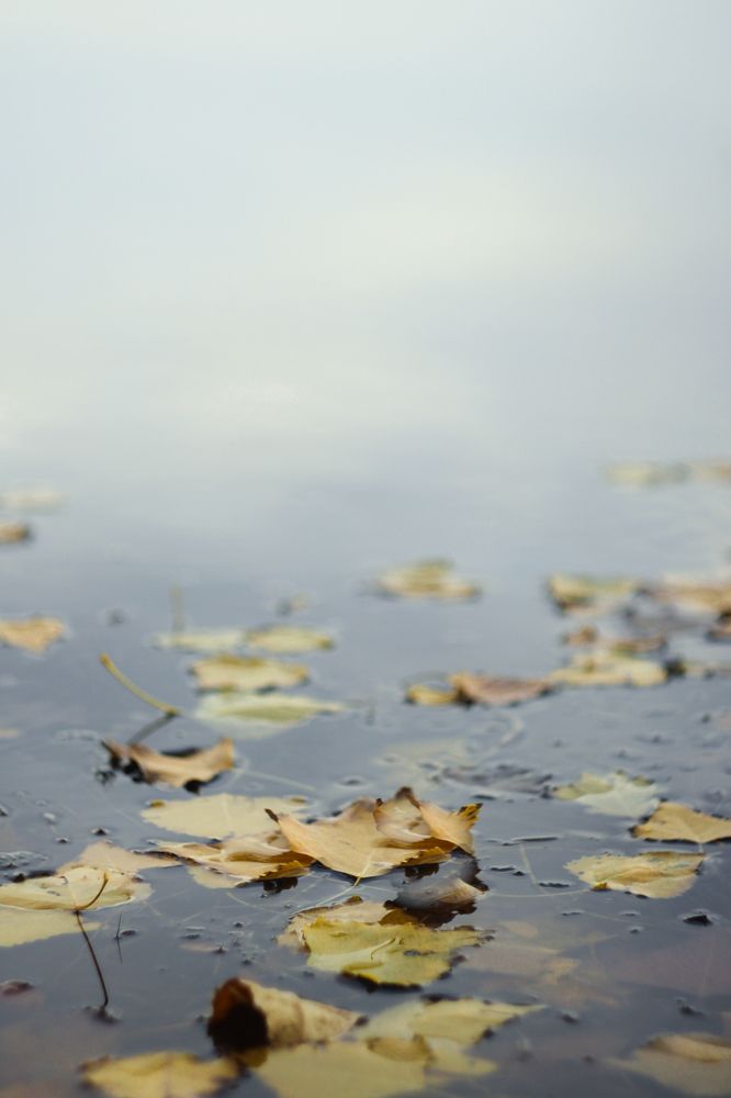 Photograph by Анна Тен