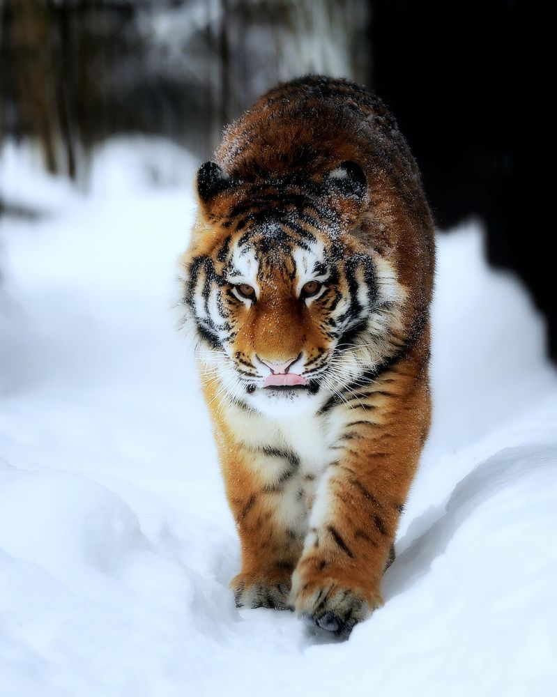 Photograph by Андрей Автухов