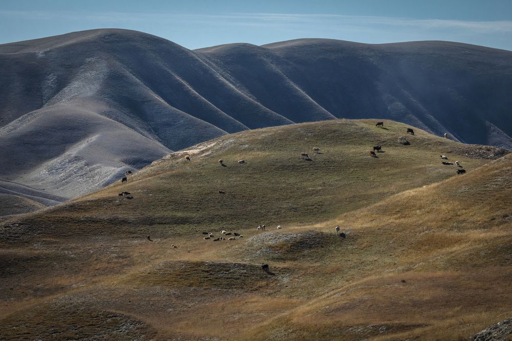 Photograph by Марина Александрова