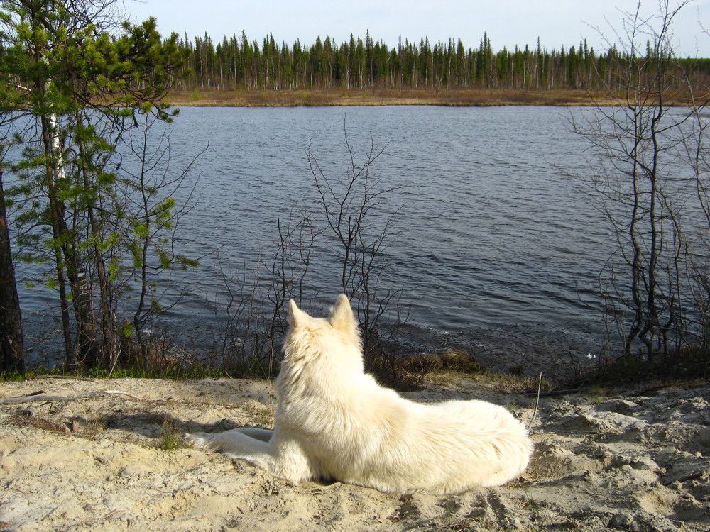 Фотография автора геннадий лалаев