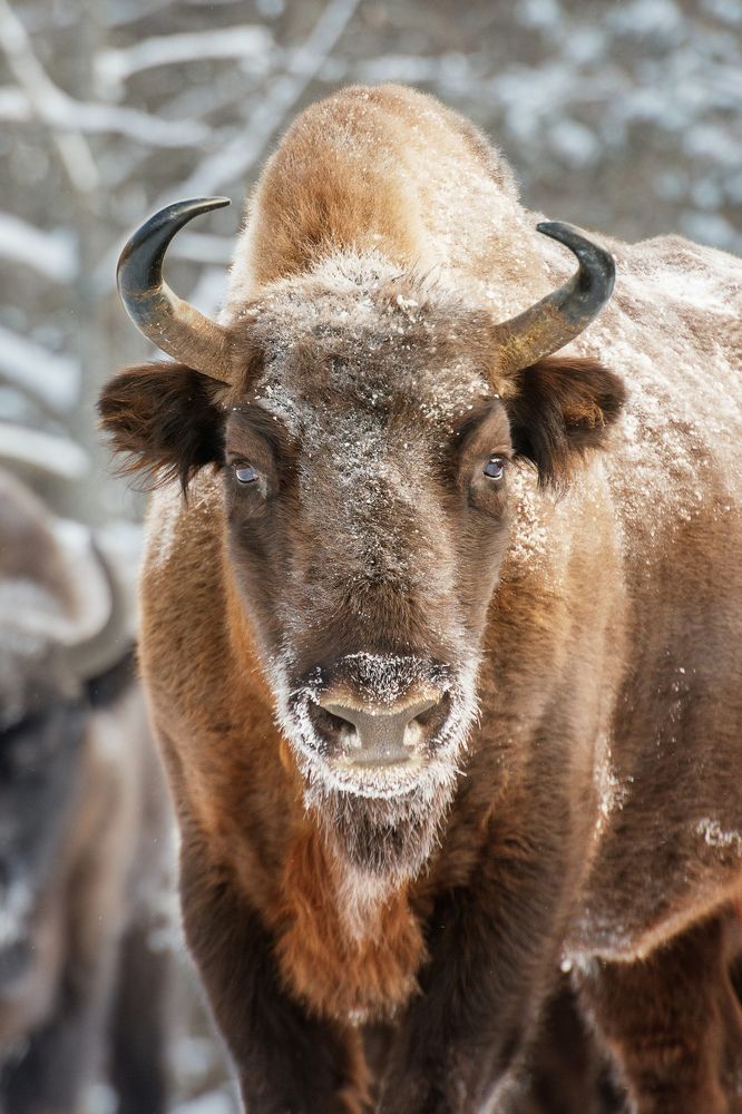 Photograph by Низовцева Елена