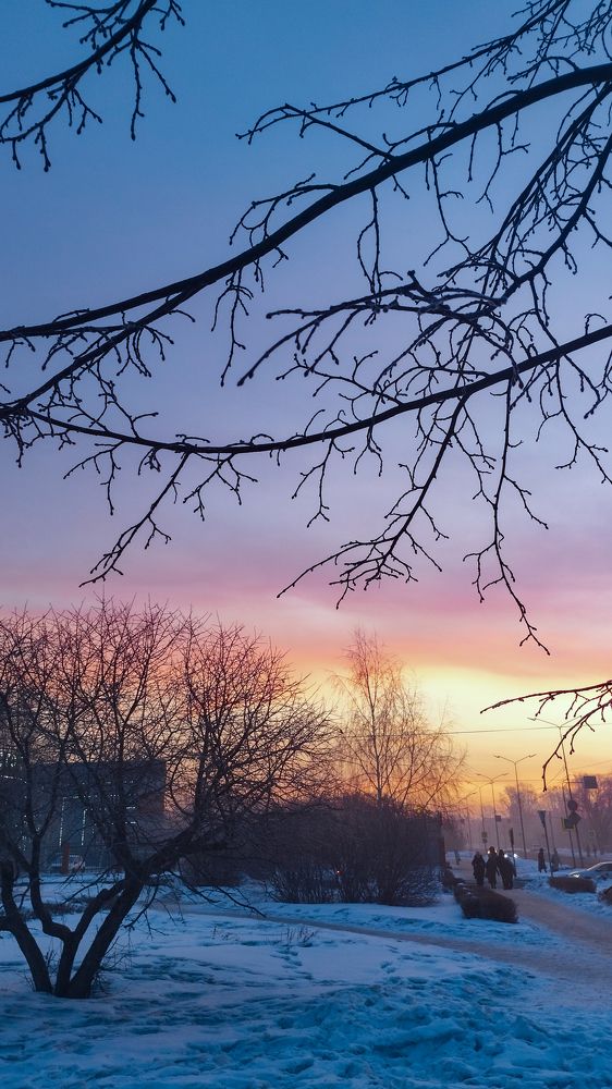 Photograph by Ксения Моськина