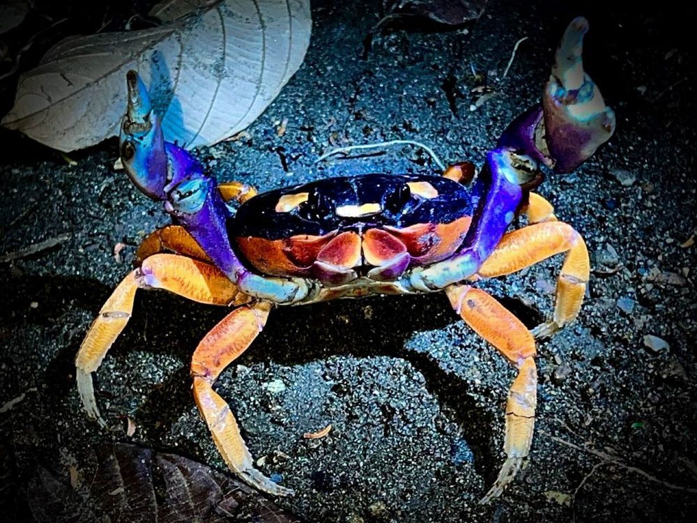 Photograph by Fabian Risso