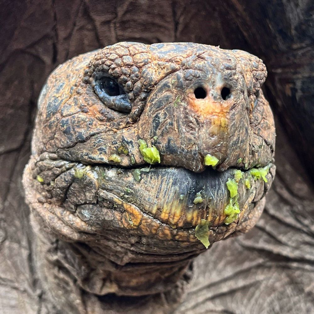 Photograph by Fabian Risso