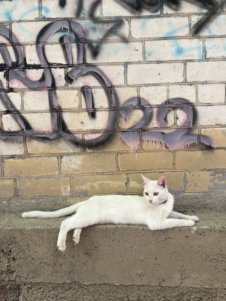 Photograph by Гришина Марина