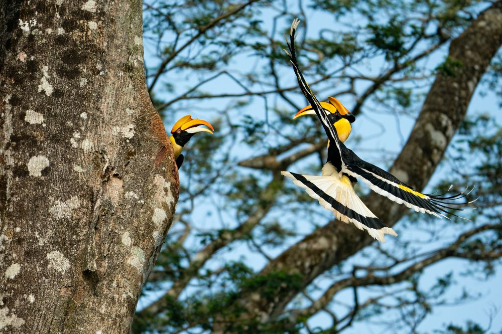 Hey Love I am coming.