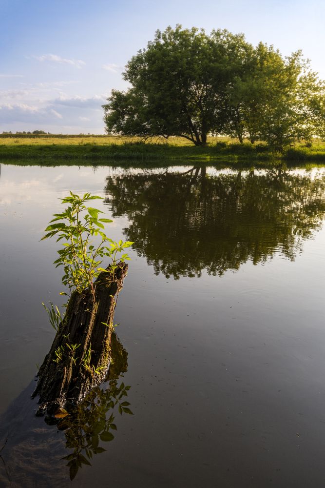 Photograph by Владимир Штыриков