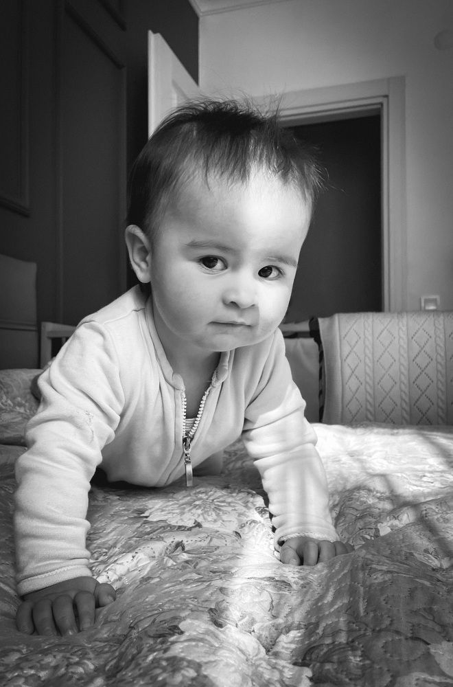 Photograph by  мотырев