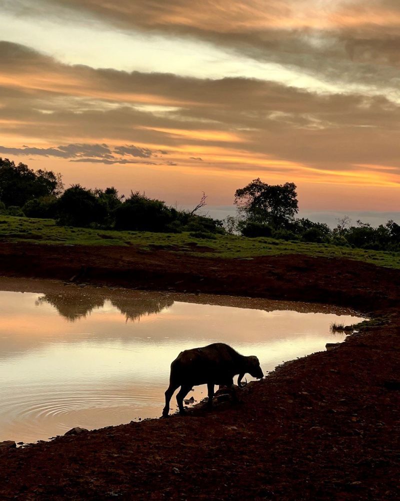 Photograph by Fabian Risso