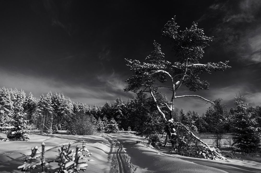 Photograph by Николай Горбунов