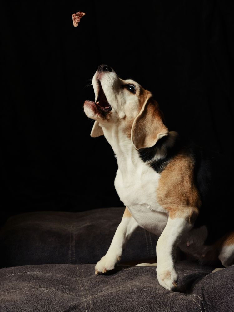 Photograph by Михаил Штенберг