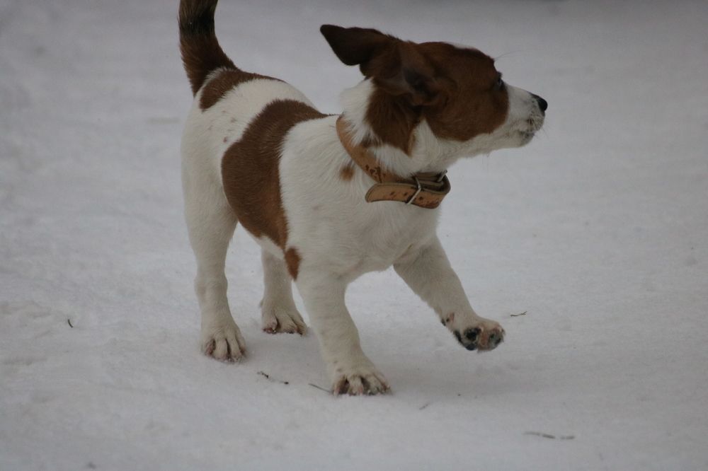 Photograph by Евгения Малафеева