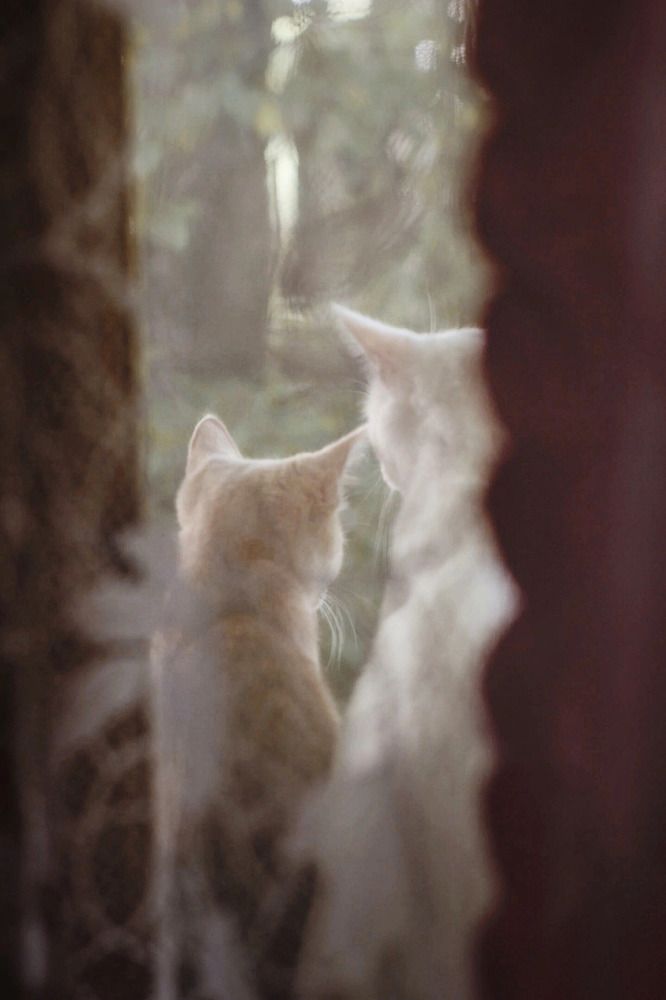 Photograph by Юлиана Новикова