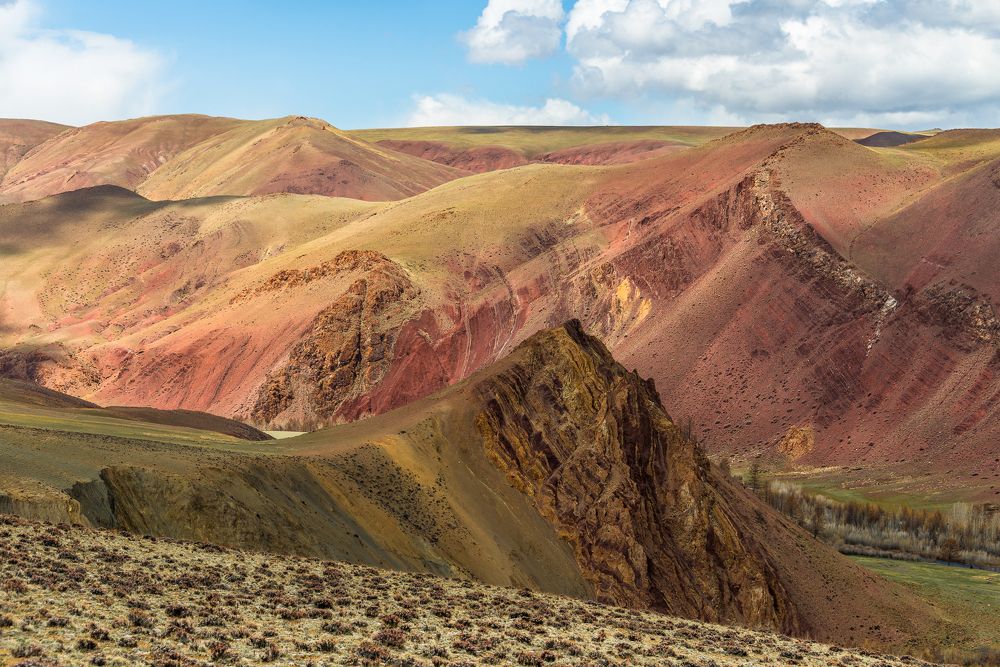 Photograph by Tatyana