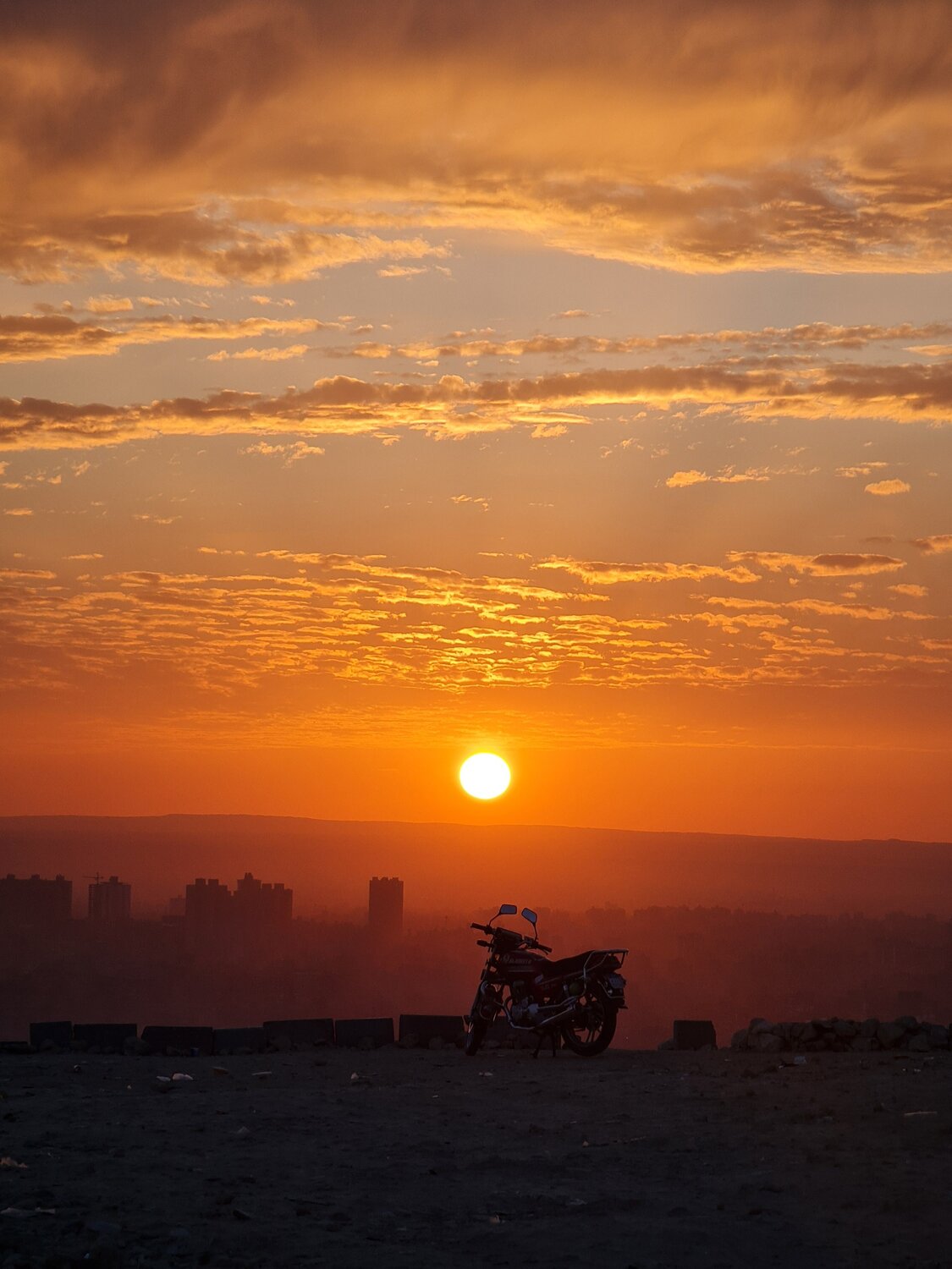 Photo #10437321