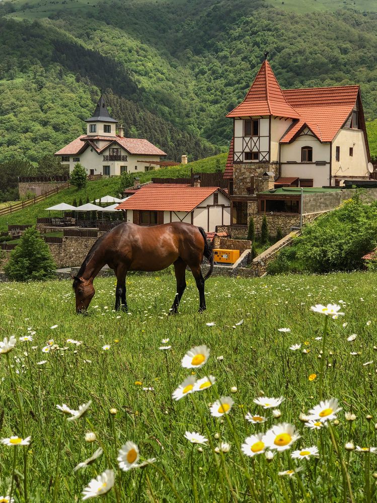 Photograph by Анна Сорокина