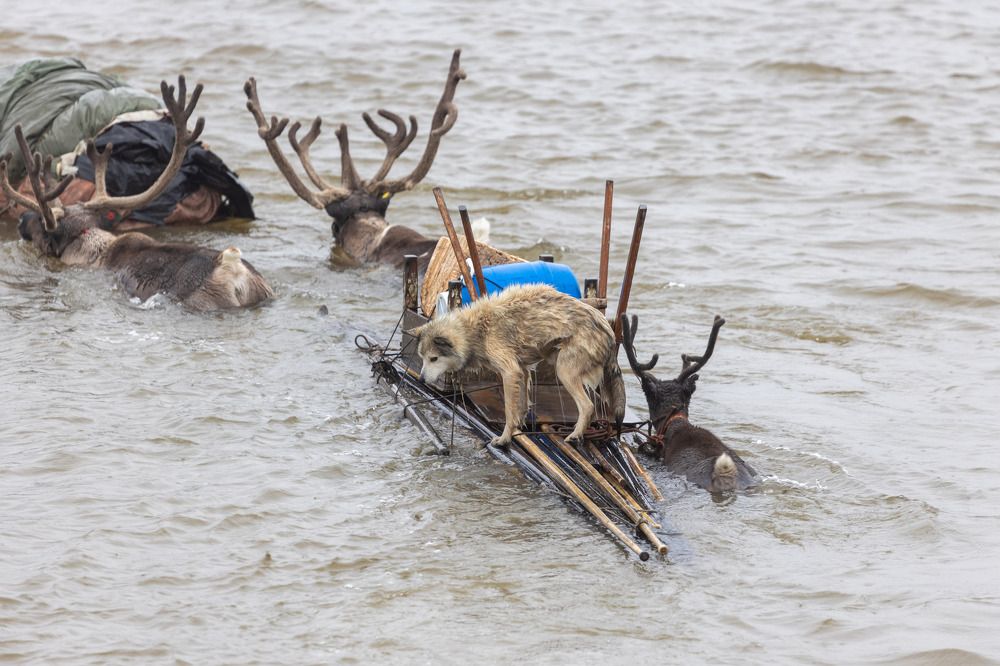 Пересечение реки Юрибей.