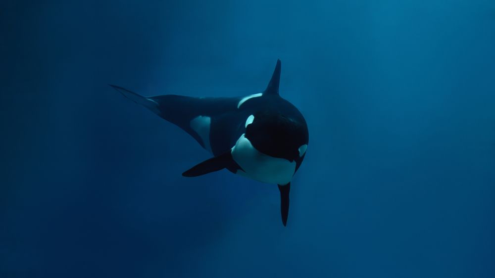 Photograph by Андрей Шелуков