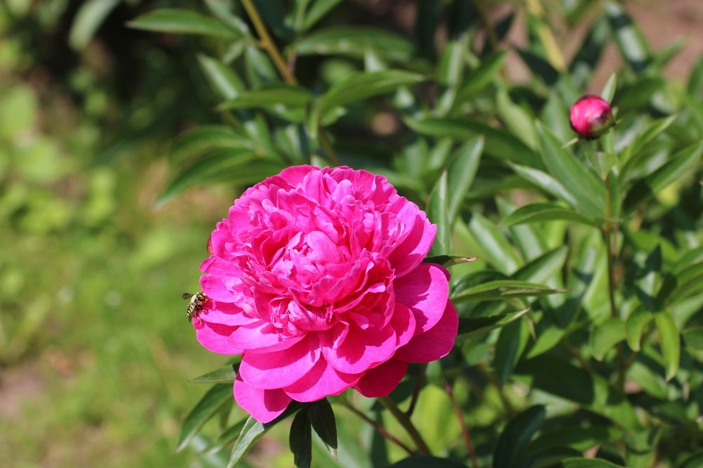 Photograph by Евгения Малафеева