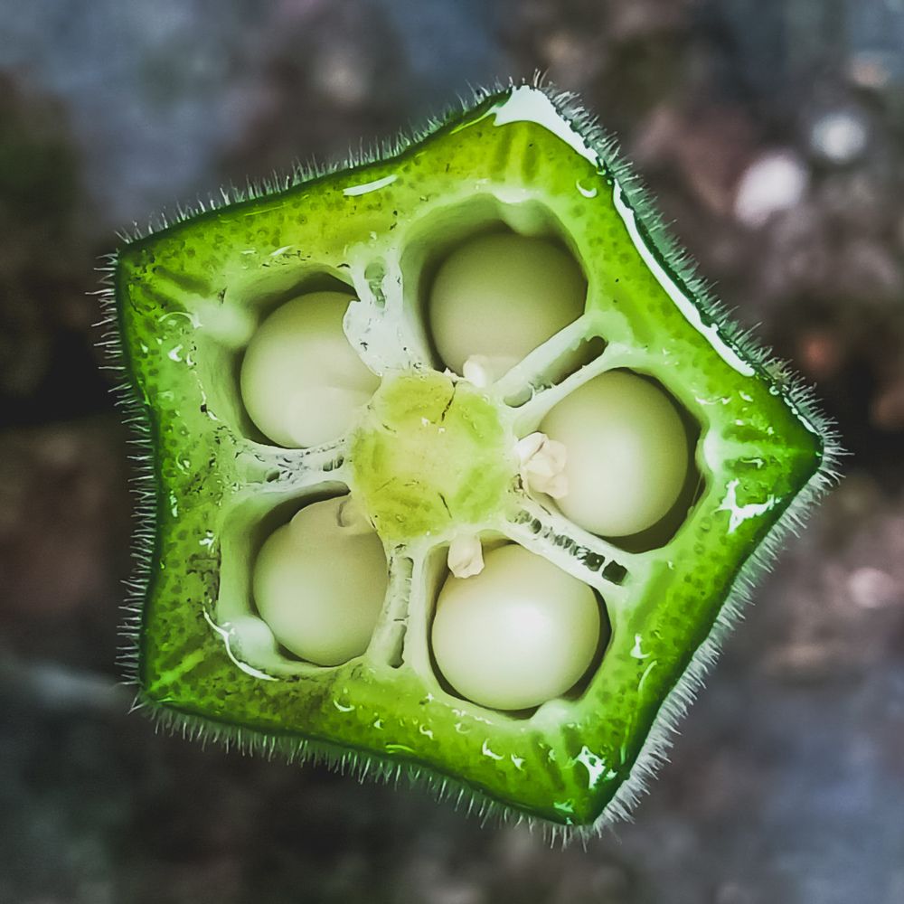 Photograph by Souvik Bhowmik