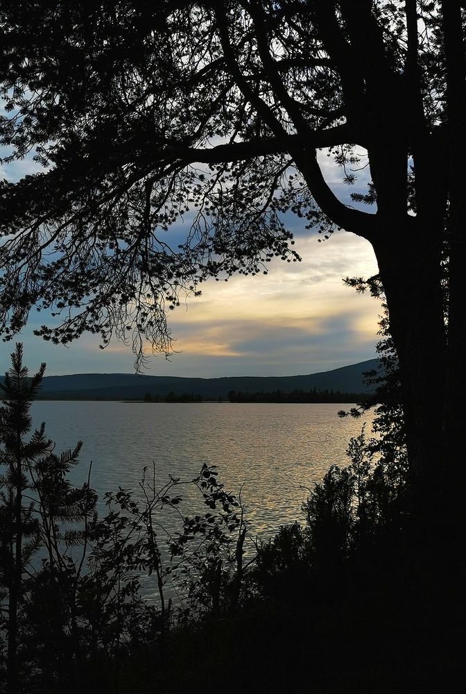 Photograph by Елена Артёменко