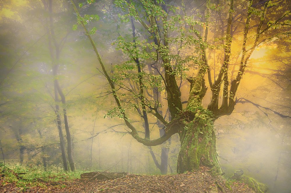 waiting for the morning