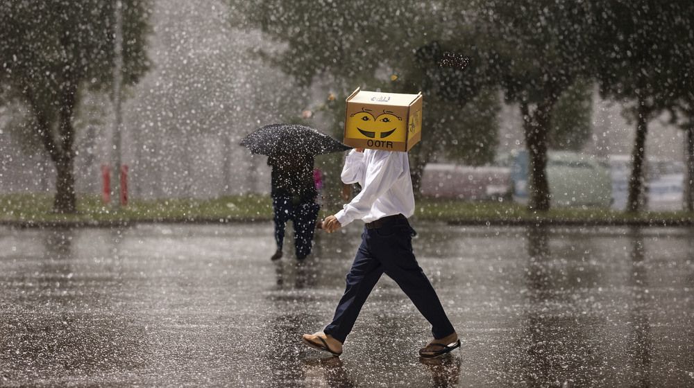 Photograph by Jose Costa