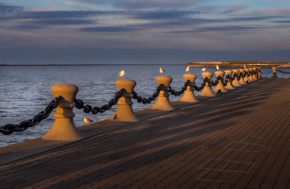 Photograph by Olga Serebryannaya