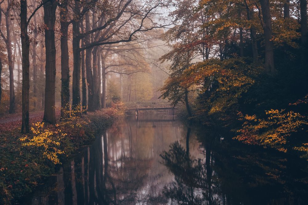 Photograph by Andrei Nechunaev