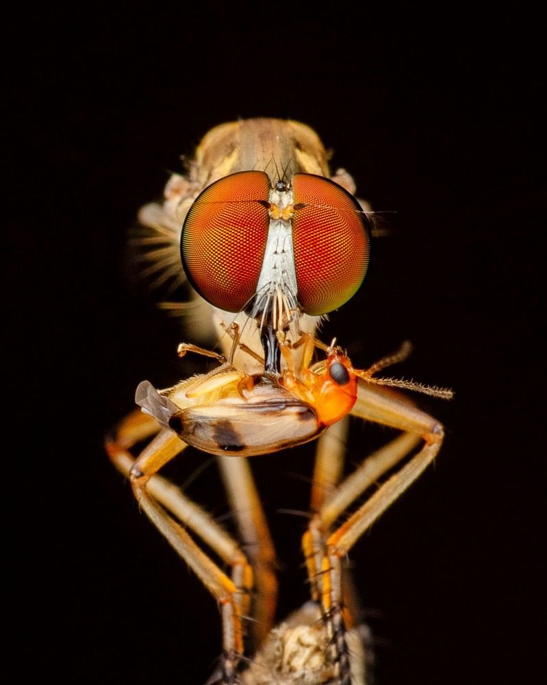 Photograph by Soujanya Bhadra