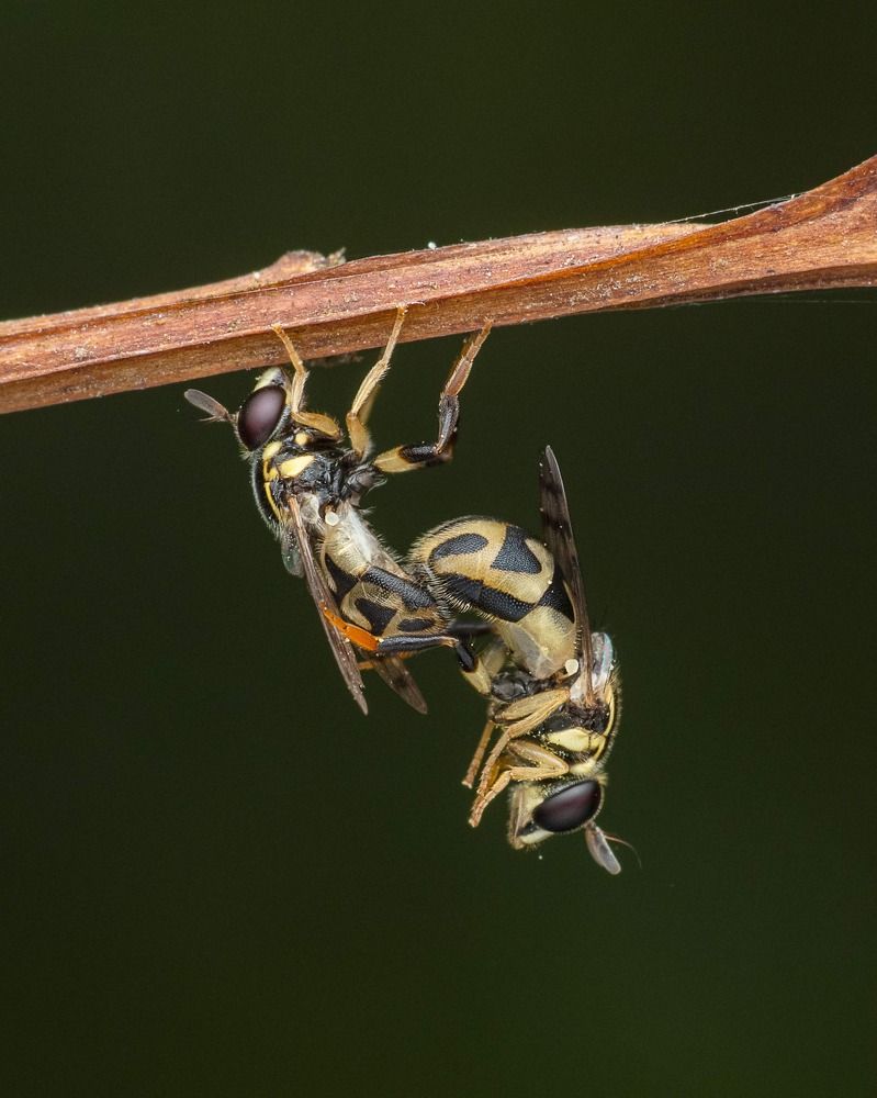 Photograph by Soujanya Bhadra