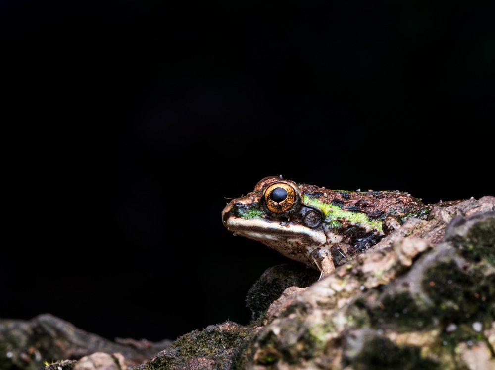 Photograph by Soujanya Bhadra