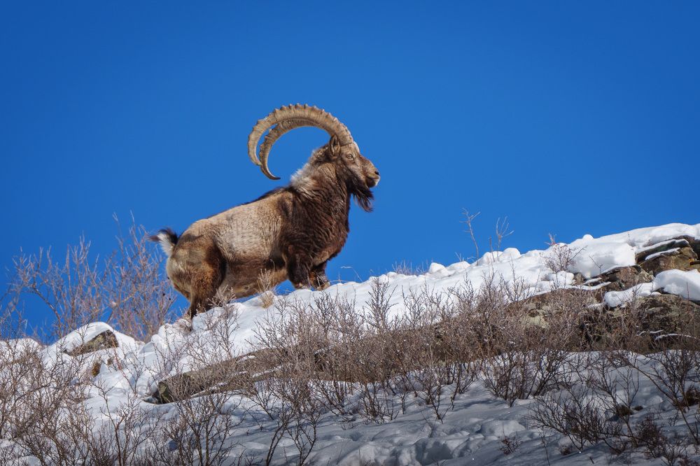 Photograph by Труханов Илья