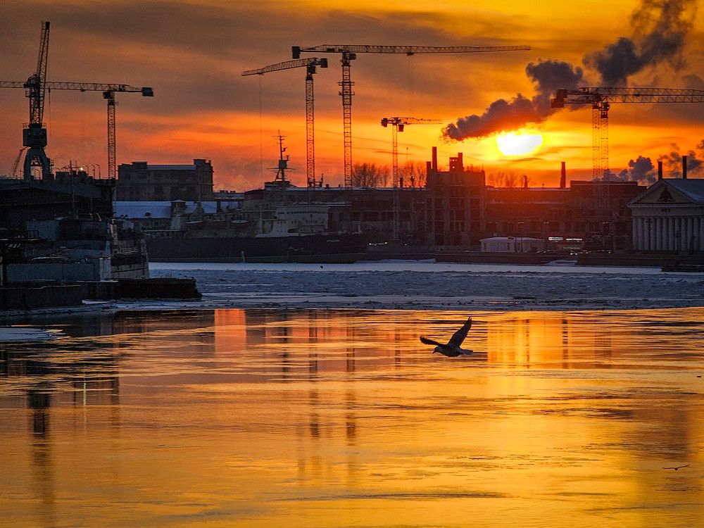 Photograph by Svetlana Dorokhova