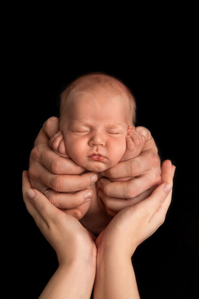 Фотография автора Виктория Шагалиева