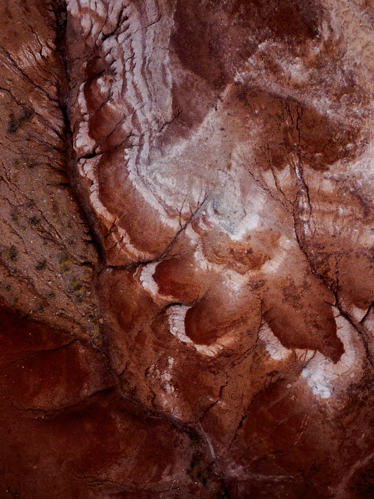 Фотография автора Анна Рыжкова