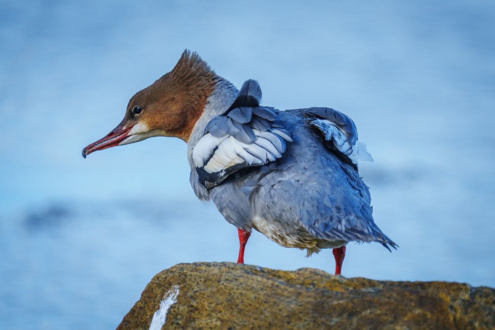 Photograph by Труханов Илья