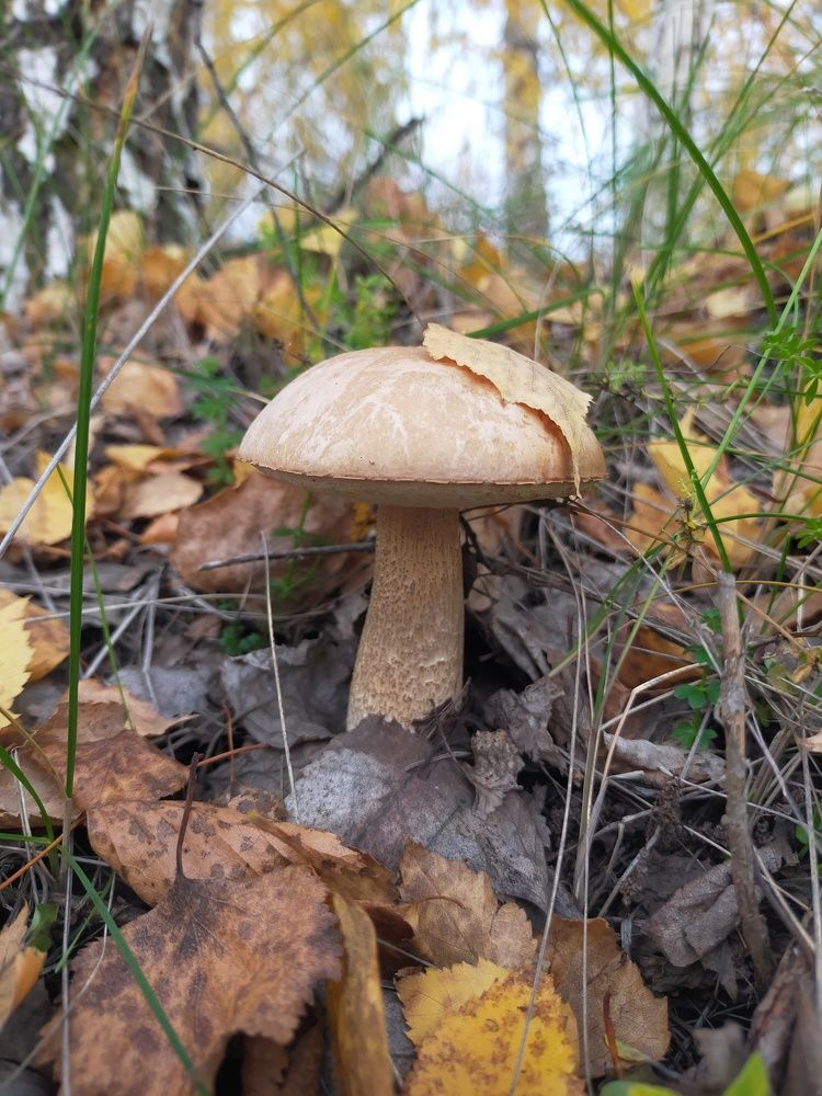 Photograph by Оксана Макарова