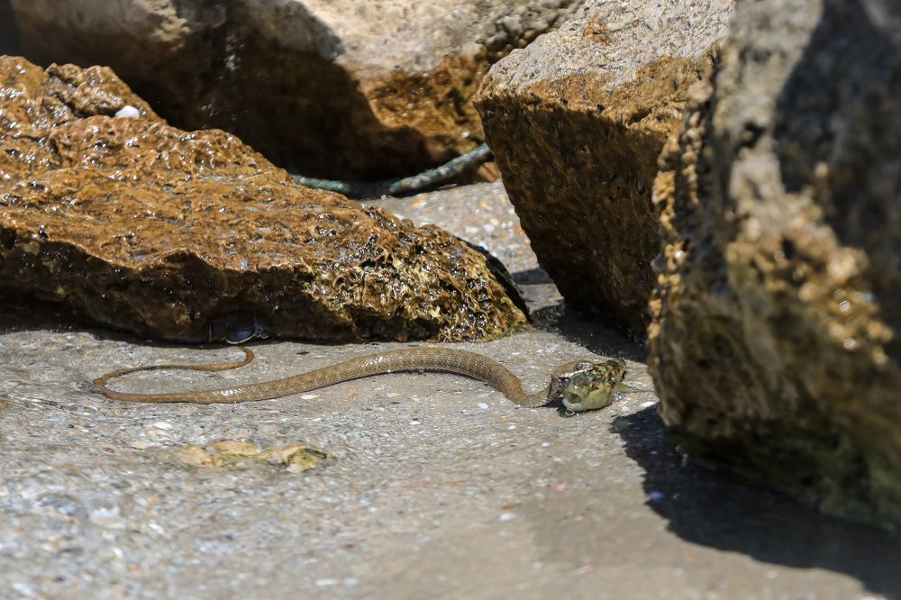 Photograph by Марина Александрова