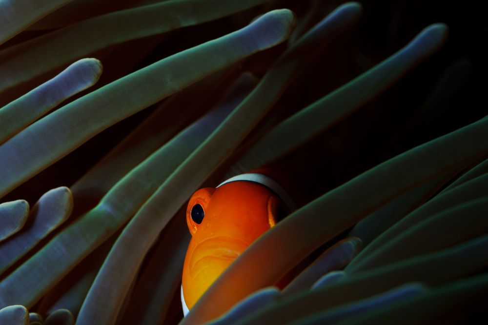 Photograph by Труханов Илья