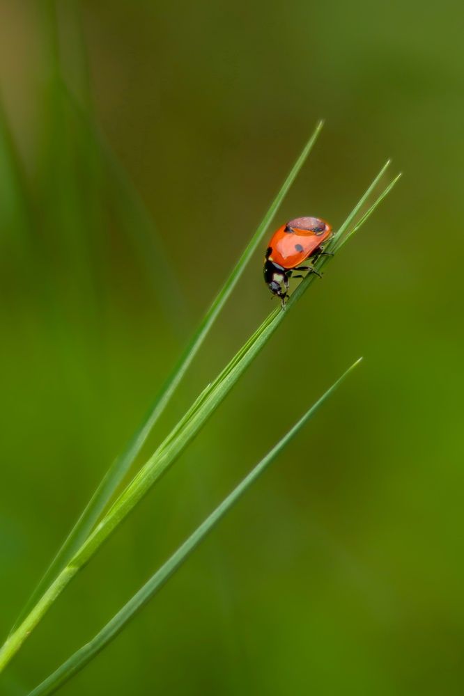 Photograph by Hazhar Mahmoudi