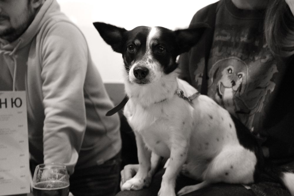 Photograph by Кристина Альшанская